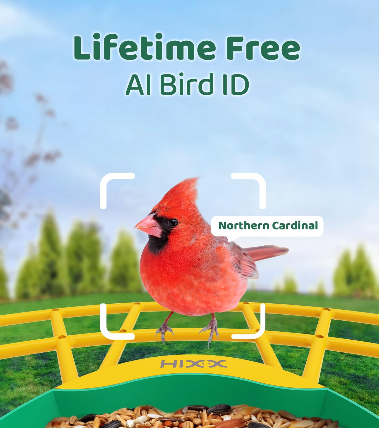 HIXX Smart Bird Feeder with Camera, Lifetime Free AI Bird Species Recognition, Solar-Powered Video Birds Feeder for Outdoors with HD Camera, Mounts Anywhere (Green)